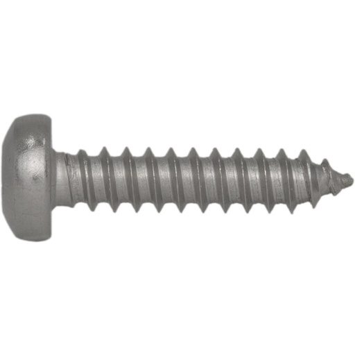 [V04FOOSCRW] Vayu SCREWS (2x)